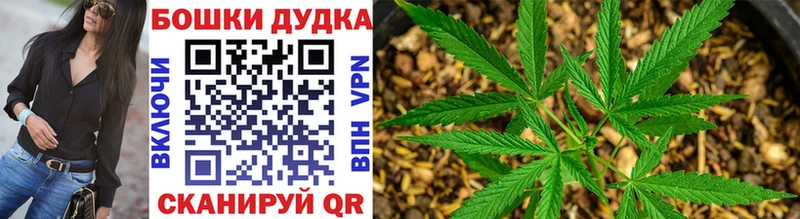 Галлюциногенные грибы Снежногорск