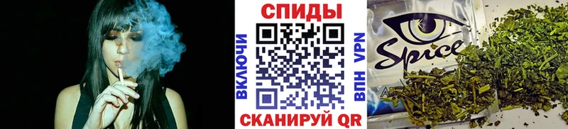 цена наркотик  Снежногорск  МЕГА вход  БУТИРАТ 1.4BDO 