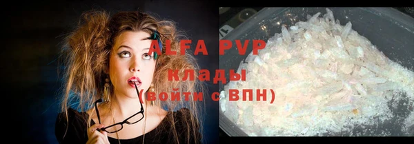 spice Алзамай