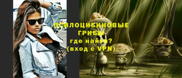spice Алзамай