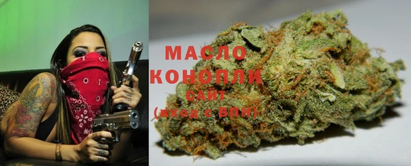 spice Алзамай