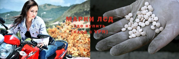 spice Алзамай