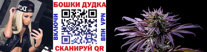 blacksprut маркетплейс  Снежногорск  Конопля Ganja 